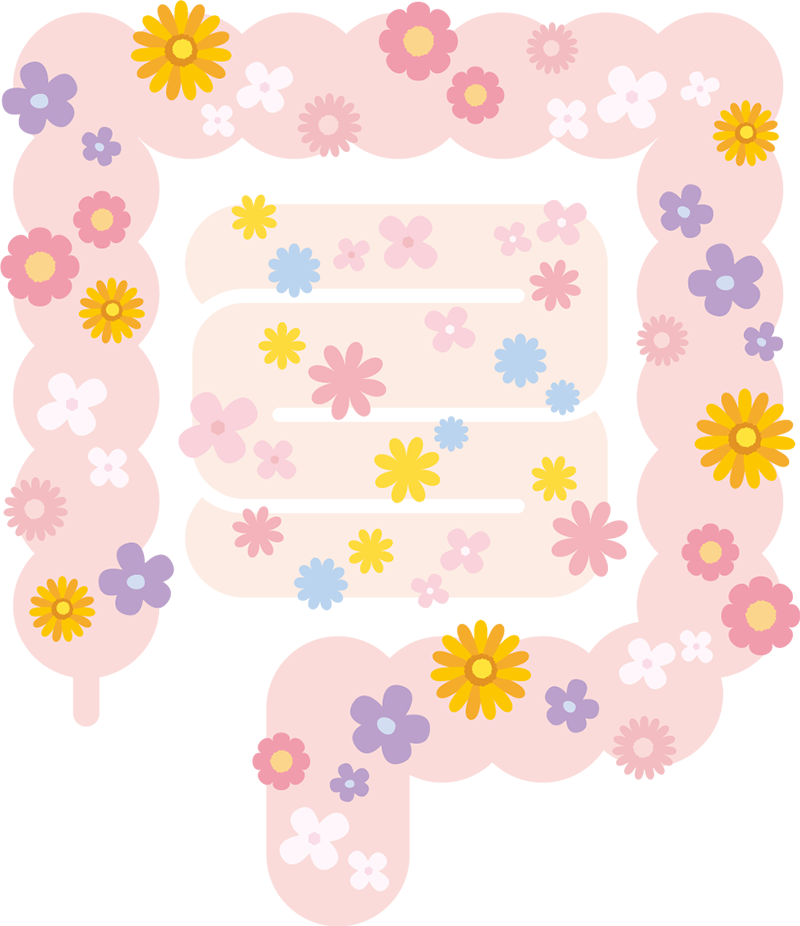 腸内環境について